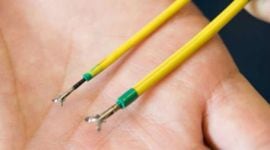 white rinos, snake like robots, snake robot, snake robot for rhino, artificial insemination, embryo transfer, northern white rhinos, rhino extinction