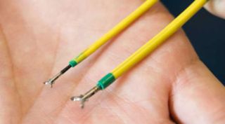 white rinos, snake like robots, snake robot, snake robot for rhino, artificial insemination, embryo transfer, northern white rhinos, rhino extinction