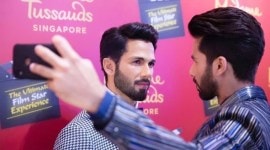 shahid kapoor