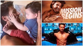 Shahid Kapoor, Ranveer Singh, Tiger Shroff social media videos