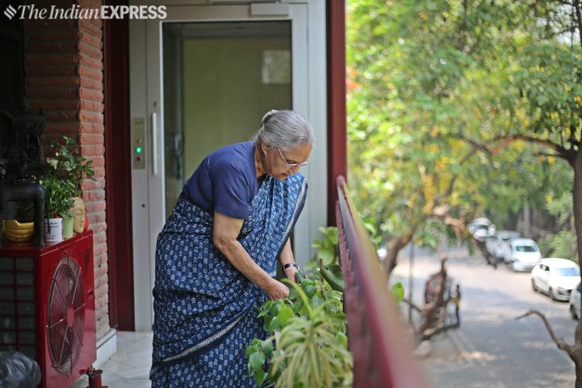delhi lok sabha polls, sheila dikshit, meenakshi lekhi, atishi, delhi aap, delhi congress, delhi bjp, lok sabha elections 2019, election news, indian express