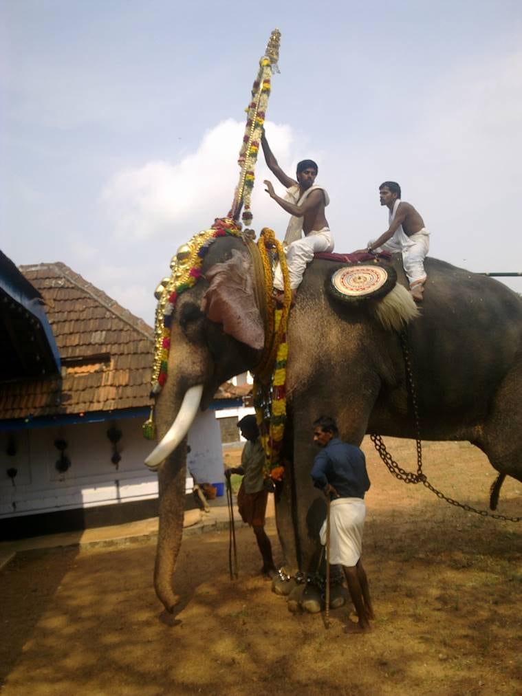Thechikottukavu Ramachandran is still in business The story behind