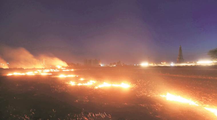 With 11,650 stubble fires in 2019, Punjab breaks 2018 record