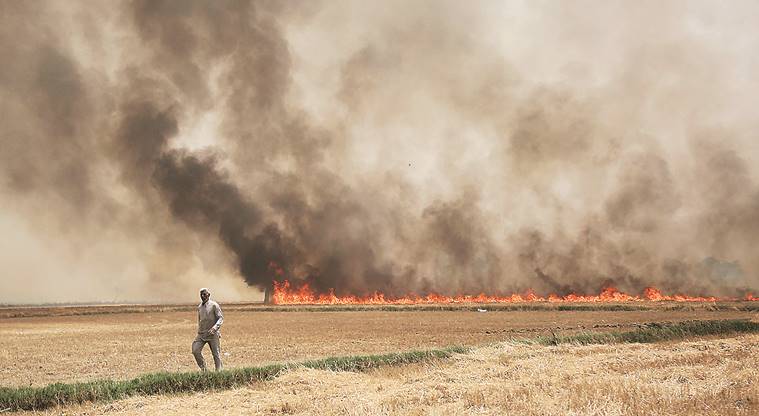 After rain brought relief to Delhi, pollution dips, stubble burning still a worry