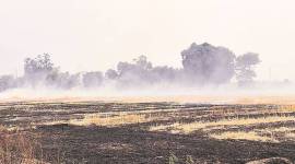 stubble759 no alt set