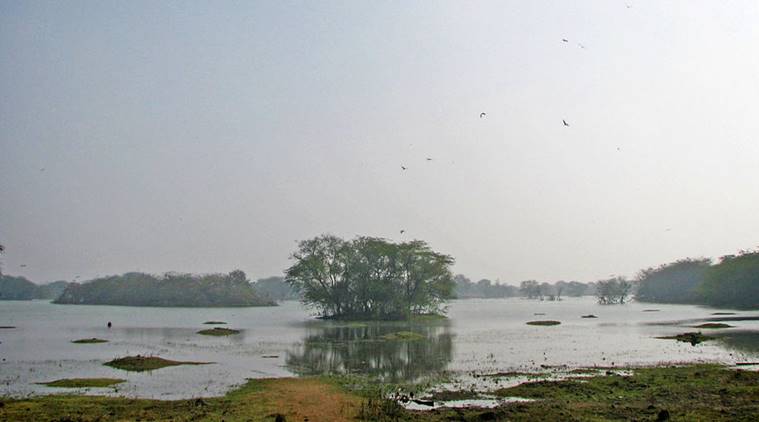 Sultanpur Bird Sanctuary, weekend, outings, Damdama Lake, Delhi NCR, Chokhi Dhani, Surajgarh Farms, Aravalli Hills, Kingdom of Dreams, Indian culture and experience,