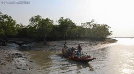 sundarbans, sundarban honey collectors, sundarban fishermen, lok sabha election 2019, 2019 general election, sundarban jaynagar constituency, india news, west bengal news, indian express, elections 2019, election news