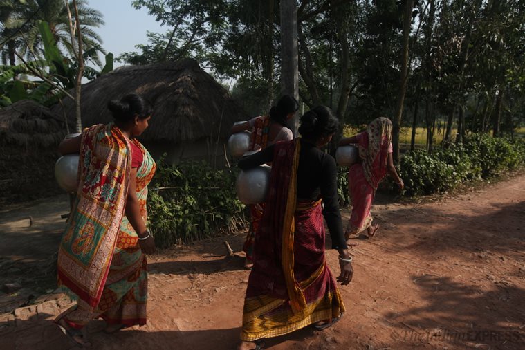 lok sabha elections 2019, 2019 general election, west bengal, bengal lok sabha elections, sundarbans, sundarbans elections, sundarbans tribal women, sundarbans adivasi, Sundarbans women issues, india news, indian express