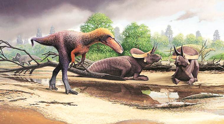 Suskityrannus hazelae, Tyrannosaurus rex, T rex, T Rex dinosaur, tyrannosauroid dinosaur, Suskityrannus dinosaur, Indian express