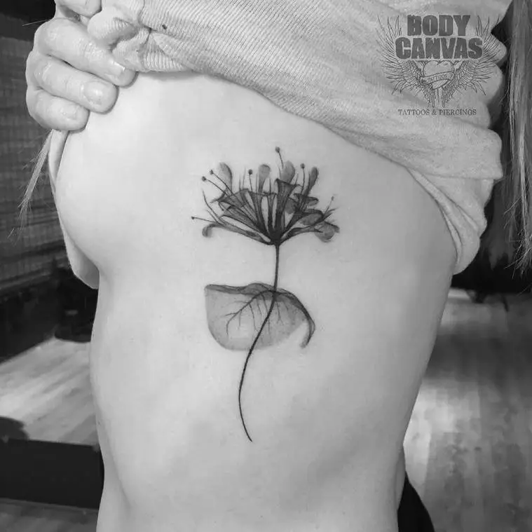 Vestige Tattoo Studio on Instagram Xray floral tattoos by our guest  artist ejintatt He will be working with us til 420 Reach out to him  directly to book 