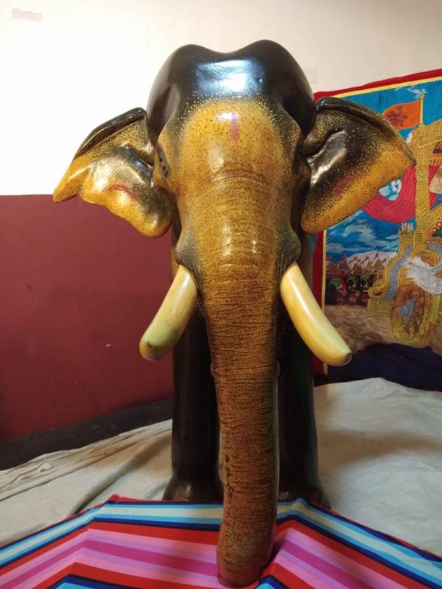 thrissur pooram, thrissur pooram 2019, thrissur pooram photos, thrissur pooram pictures, Kerala thrissur pooram pis, Kerala pooram pictures, Kerala thrissur pooram photos, photos kerala, kerala photos, kerala thrissur photo, thrissur pooram kerala photos, kerala news, thrissur pooram images, thrissur pooram kerala, thrissur pooram elephant photos