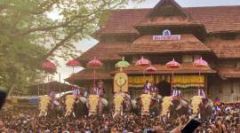 thrissur pooram, thrissur pooram 2019, thrissur pooram photos, thrissur pooram pictures, Kerala thrissur pooram pics, Kerala pooram pictures, Kerala thrissur pooram photos, photos kerala, kerala photos, kerala thrissur photo, thrissur pooram kerala photos, kerala news, thrissur pooram images, thrissur pooram kerala, thrissur pooram elephant photos, thrissur pooram, thrissur pooram 2019, thrissur pooram photos, thrissur pooram pictures, Kerala thrissur pooram pics, Kerala pooram pictures, Kerala thrissur pooram photos, photos kerala, kerala photos, kerala thrissur photo, thrissur pooram kerala photos, kerala news, thrissur pooram images, thrissur pooram kerala, thrissur pooram elephant photos 2019, 2019 Kerala thrissur photos