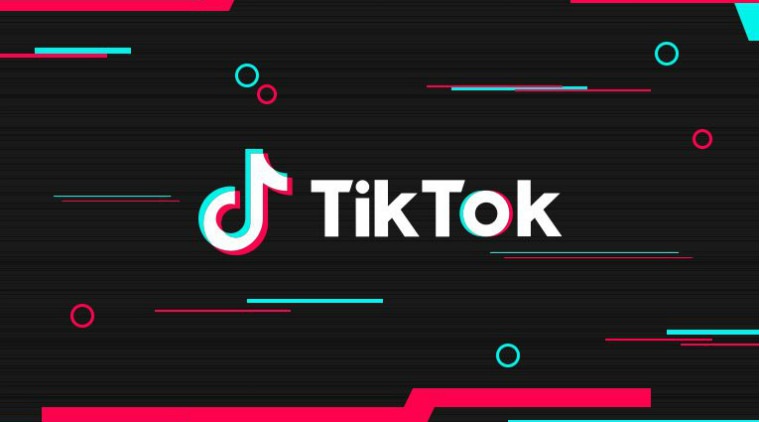 TikTok ban in India, TikTok ban India ban, TikTok Madras High Court ban in India, TikTok app, TikTok ban by Madras High Court, TikTok
