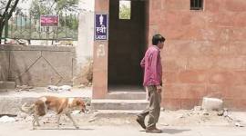 toilet 759 no alt set