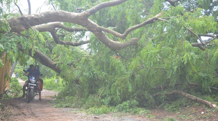At leasr 32 houses damaged, communication distrupted due to thunderstorm in Tripura