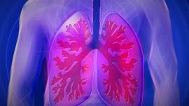 damaged lungs, lungs, lungs transplantation, health, indian express, indian express news