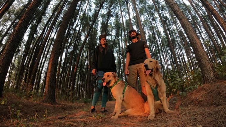 travel, travel with dogs, india, Labrador, golden retriever, indian express
