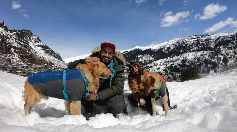 travel, travel with dogs, dogs, dog photos, indian express, indian express news