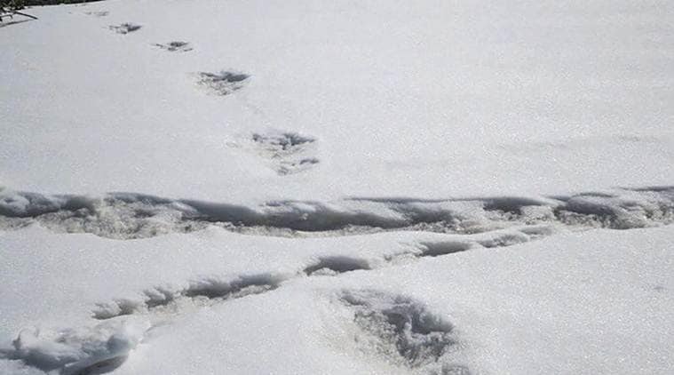 Yeti’s foot &amp; Army mouth: Mountaineering expedition team claims sighting