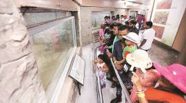 delhi zoo, delhi zoo animals, delhi zoo python, National Zoological Park, National Zoological Park delhi, delhi zoo opening timings, delhi zoo timings