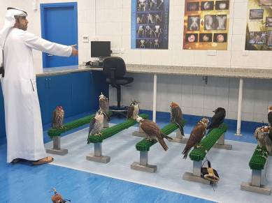 Abu Dhabi, Abu Dhabi Falcon Hospital, Falcon Hospital, Emirati