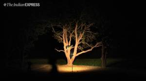 Article 15 review, Badaun gangrape, Badaun gangrape murder, Badaun dalit girls gangraped, Badaun gangrape incident, Akhilesh Yadav, Mayawati, Badaun rape victims, Uttar Pradesh News, India news