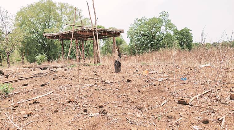 13 years later, 15 families back in Bastar: ‘Happy but leave us alone’