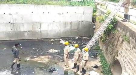 Bangalore Bomb Blast: News, Photos, Latest News Headlines about