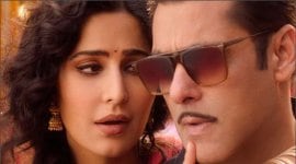 Bharat box office collection Day 25