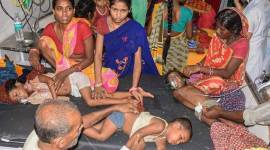 bihar deaths, bihar aes deaths, encephalitis deaths, muzaffarpur encephalitis, muzzaffarpur AES deaths, Muzzaffarpur encephalitis