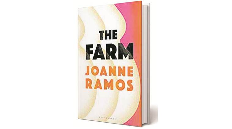 lovelight farm book