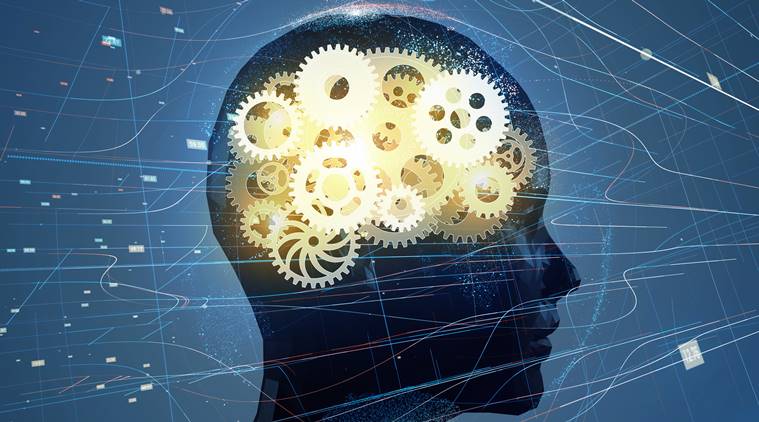 Neuroscience, digital addiction, Phone addiction, Human brain, National Academy of Sciences, Lifestyle, Indian Express, 