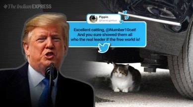 donald trump, trump UK visit, trump uk protests, larry the cat, larry cat trump car, larry the cat trump vehicle, viral photos, funny news, indian express