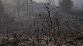 europe heatwave, catalonia forest fire, catalonia fire, france heatwave, forest fires in france, forest fires in catalonia, world news, Indian Express