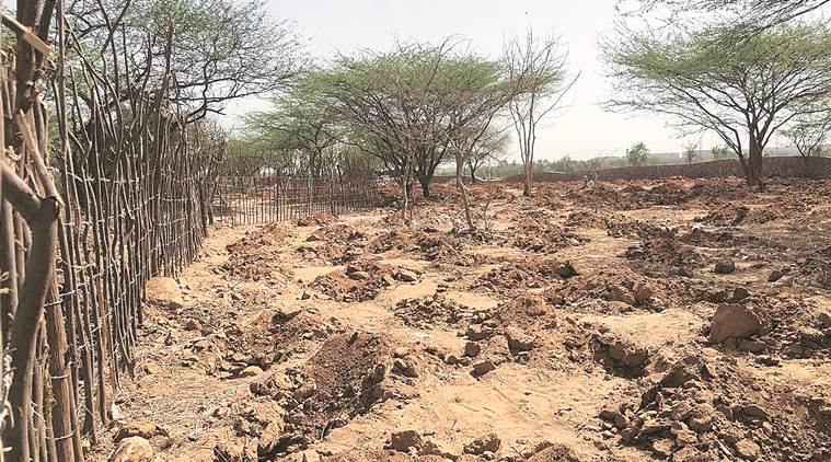 Delhi, Delhi News, Delhi green cover, NGT, rajokri, rajokri tree felling, delhi green patches, delhi trees fell, Indian Express