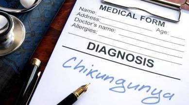 Chikungunya, indianexpress.com, Chikungunya symptoms, zika symptoms, malaria symptoms, dengue symptoms, indianexpress, Chikungunya prone areas, what is Chikungunya, Chikungunya travel, Chikungunya treatment, what to do when Chikungunya happens, chikungunya, chikungunya virus, chikungunya symptoms, chikungunya treatment, indian express, indian express news