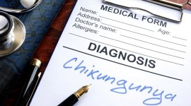 Chikungunya, indianexpress.com, Chikungunya symptoms, zika symptoms, malaria symptoms, dengue symptoms, indianexpress, Chikungunya prone areas, what is Chikungunya, Chikungunya travel, Chikungunya treatment, what to do when Chikungunya happens, chikungunya, chikungunya virus, chikungunya symptoms, chikungunya treatment, indian express, indian express news