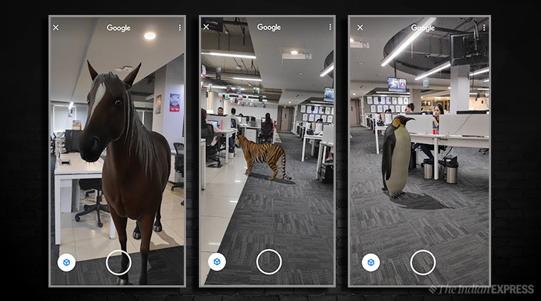 Tiger in your room Google  AR  search lets you bring 3D  