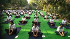 delhi, delhi news, international yoga day 2019, yoga day 2019, yoga day celebrations, yoga day celebrations 2019, yoga day 2019 celebrations, yoga day in delhi, india news, Indian Express