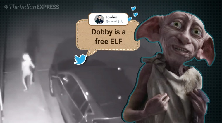   dobby, happy potter, #DobbyTheHouseElf, free dobby, dobby viral video, dobby, viral video, dobby detected in an alley, 