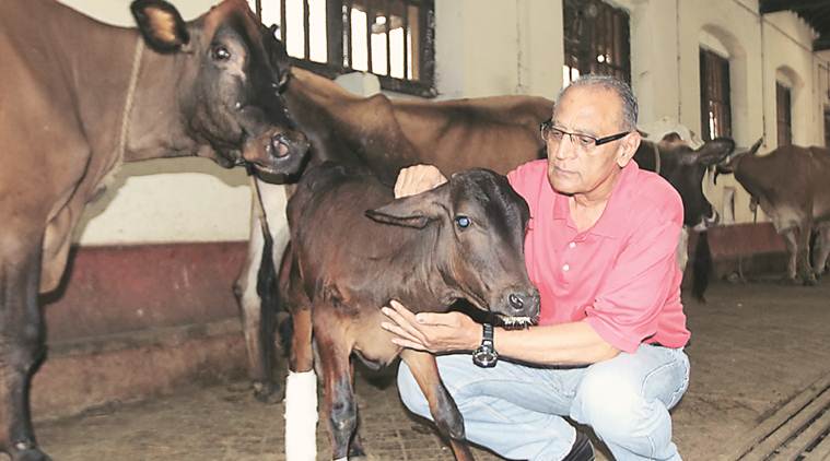 mumbai veterinary hospital, mumbai veterinary doctor, veterinary hospitals in mumbai, veterinary doctors in mumbai, mumbai news, Indian Express