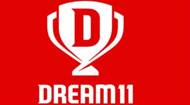 DREAM11, DREAM11 case, DREAM11 fake t20 case, DREAM11 IPL, Sports news, Indian Express