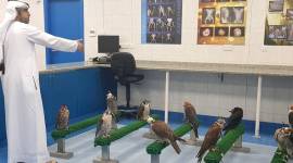 Abu Dhabi, Abu Dhabi Falcon Hospital, Falcon Hospital, Emirati