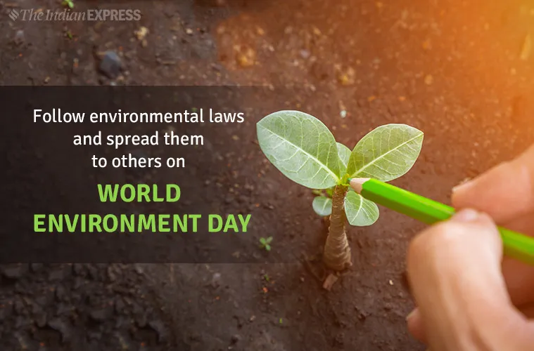 World Environment Day 2019 Theme, Slogans, Quotes, Images, Status