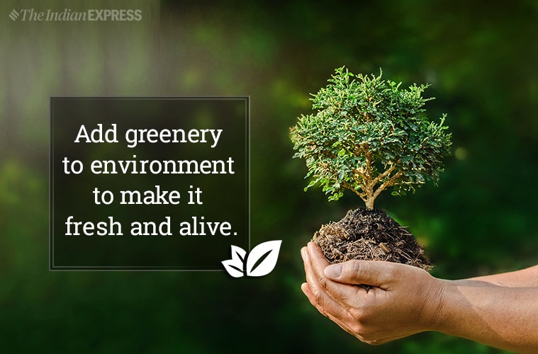 World Environment Day 2020: Theme, Slogans, Quotes, Poster, Messages