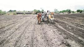 Early showers: Saurashtra farmers get a headstart from Cyclone Vayu