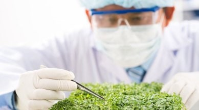 World Food Safety Day, World Food Safety Day 2019, importance of food safety, indian express, indian express news