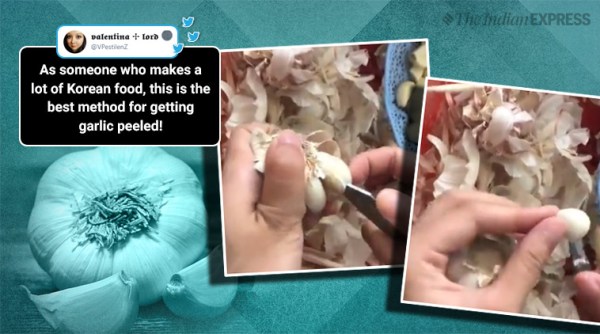 Garlic peel hack, Twitter user garlic peel hack, Easy garlic peel hack, VPestilenZ , new easy garlic peel hack, indian express