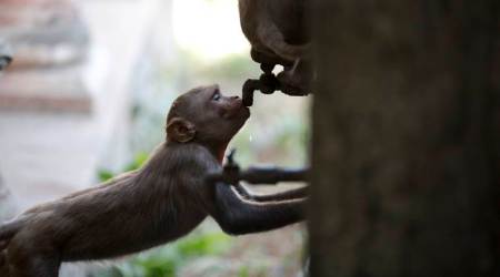 weather, weather today, today weather, temperature, temperature today, weather report, weather warning, weather report today, weather forecast, weather forecast today, weather forecast report, weather forecast today in delhi, delhi weather, noida weather, weather today in lucknow,imd forecast today, imd weather forecast