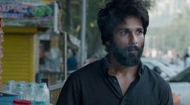 Kabir Singh collection Day 7